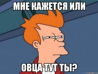 мне кажется или овца тут ты?