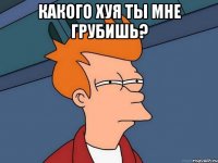 Какого хуя ты мне грубишь? 