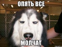 опять все молчат