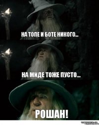 На топе и боте никого... На миде тоже пусто... Рошан!