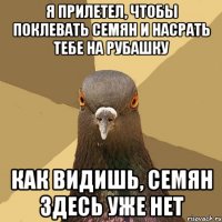 Я прилетел, чтобы поклевать семян и насрать тебе на рубашку Как видишь, семян здесь уже нет