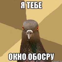 Я тебе Окно обосру