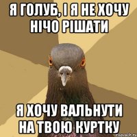 я голуб, і я не хочу нічо рішати я хочу вальнути на твою куртку