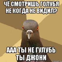 Чё Смотришь Голубя Не Когда Не Видил? ААА Ты не Гулубь Ты Джони