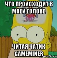 что происходит в моей голове читая чатик gameminer