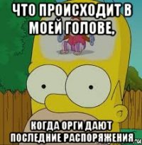 что происходит в моей голове, когда орги дают последние распоряжения