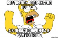 Когда только почистил лошадь, А в леваде она легла в самую грязь