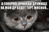 А говорил: Приходи дружище на мой ДР будет торт мясной...