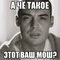 а чё такое этот ваш мош?