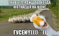 Так выглядиш ты когда фоткаешя на фоне ГУСЕЙ!!)))):**))