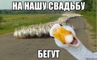 На нашу свадьбу Бегут