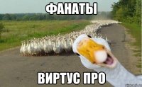 фанаты виртус про