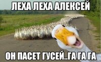 Леха Леха Алексей он пасет гусей..га га га