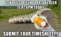 Don't just rush to Friday beer is at 6pm today submit your Timesheet!!!