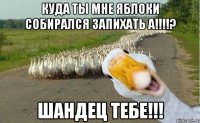 куда ты мне яблоки собирался запихать а!!!!? шандец тебе!!!