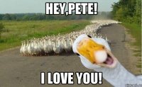 Hey,Pete! i love you!