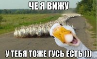 ЧЕ Я ВИЖУ У ТЕБЯ ТОЖЕ ГУСЬ ЕСТЬ )))