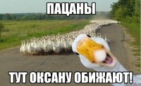 Пацаны Тут Оксану обижают!