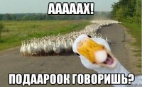 Ааааах! Подаароок говоришь?