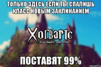 Только здесь если ты спалишь класс новым заклинанием Поставят 99%