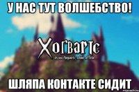 У нас тут волшебство! Шляпа Контакте сидит