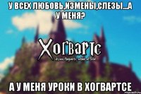 У всех любовь,измены,слезы...а у меня? А у меня уроки в Хогвартсе