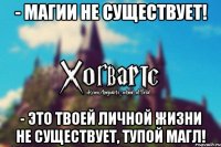 - Магии не существует! - Это твоей личной жизни не существует, тупой магл!