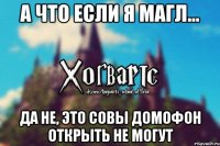 А что если я магл... да не, это совы домофон открыть не могут