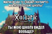 Малфой как то сказал:"Хогвартс- жалкое подобие школы" Ты мою школу видел вообще?