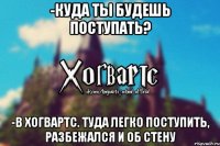 -Куда ты будешь поступать? -В Хогвартс. Туда легко поступить, разбежался и об стену