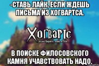 -Ставь лайк, если ждешь письма из Хогвартса. В поиске Филосовского камня учавствовать надо.