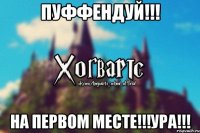 Пуффендуй!!! На первом месте!!!УРА!!!