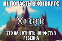 Не попасть в Хогвартс Это как отнять конфету у ребенка