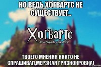 но ведь Хогвартс не существует.. твоего мнения никто не спрашивал,мерзкая грязнокровка!