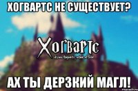 ХОГВАРТС НЕ СУЩЕСТВУЕТ? АХ ТЫ ДЕРЗКИЙ МАГЛ!