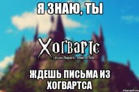 Я знаю, ты ждешь письма из хогвартса