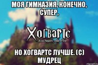 Моя гимназия, конечно, супер, НО ХОГВАРТС ЛУЧШЕ. (с) Мудрец