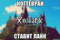 Когтевран Ставит лайк