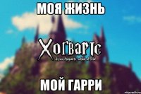 моя жизнь мой гарри