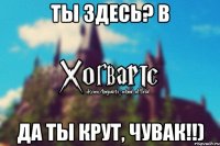 Ты здесь? В Да ты крут, чувак!!)