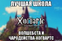 Лучшая Школа Волшебста и Чародейства-Хогвартс