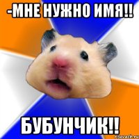 -Мне нужно имя!! БУБУНЧИК!!