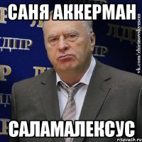 Саня Аккерман Саламалексус