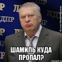  Шамиль куда пропал?