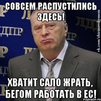 Совсем распустились здесь! Хватит сало жрать, бегом работать в ЕС!