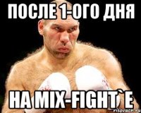 после 1-ого дня на mix-fight`e