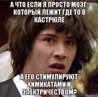 А что если я просто мозг, который лежит где то в кастрюле А его стимулируют химикатами и электричеством?