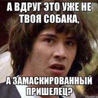 А вдруг это уже не твоя собака, а замаскированный пришелец?