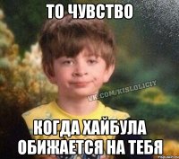 то чувство когда хайбула обижается на тебя