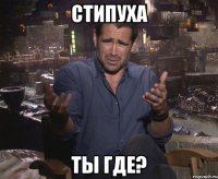 Стипуха Ты где?